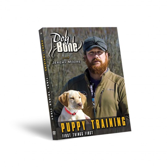 Puppy Training First Things First - DVD