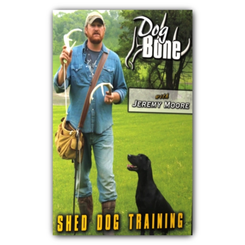 shed dog training