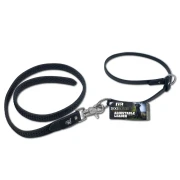 Adjustable Leader and Heel Work Instructional Bundle