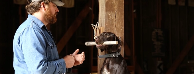 Hold Conditioning Basics