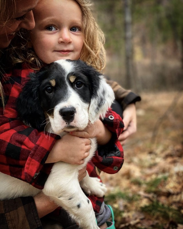 Hunting dog trainer near me best sale