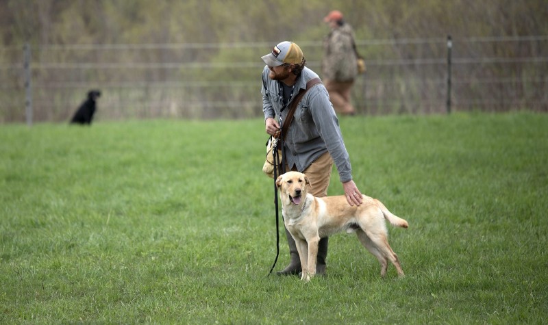 Freeport Florida Dog Trainer